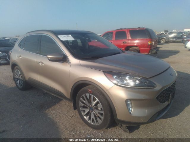 2019 ford escape