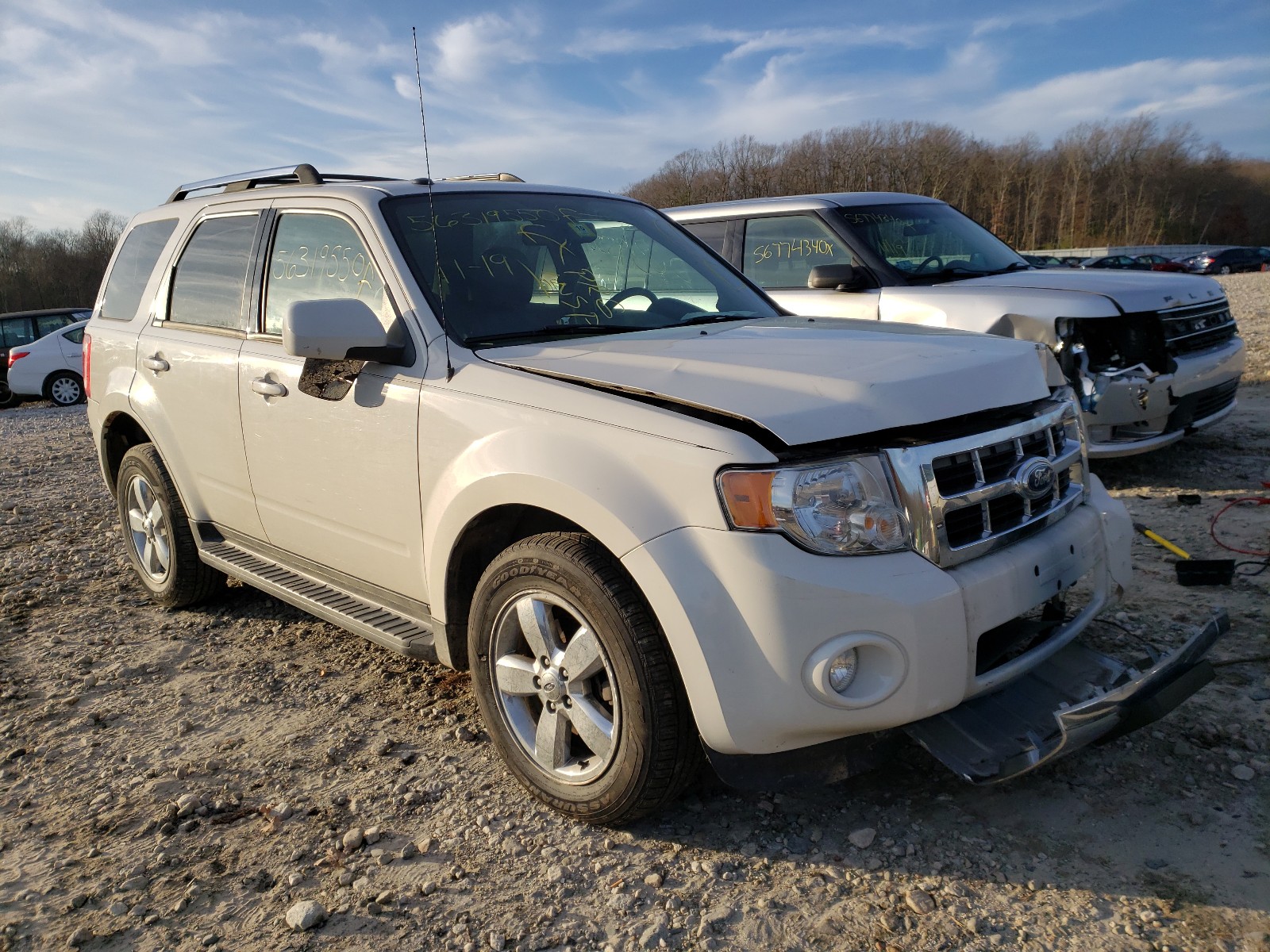 2010 ford escape