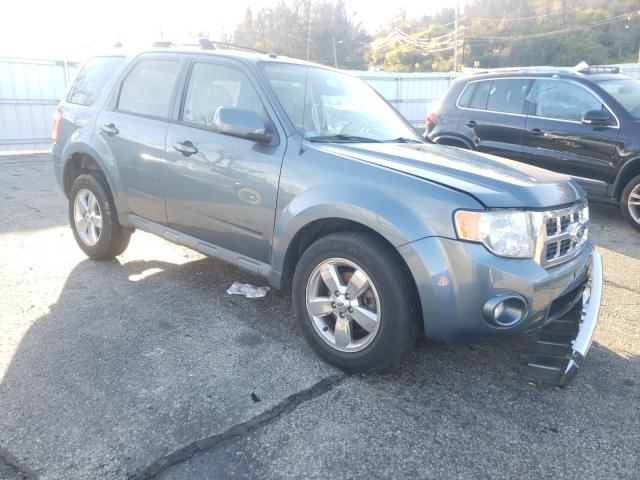 2011 ford escape