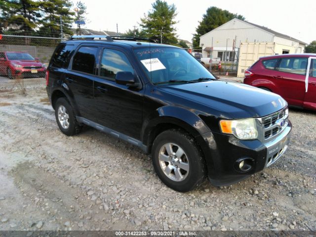2010 ford escape