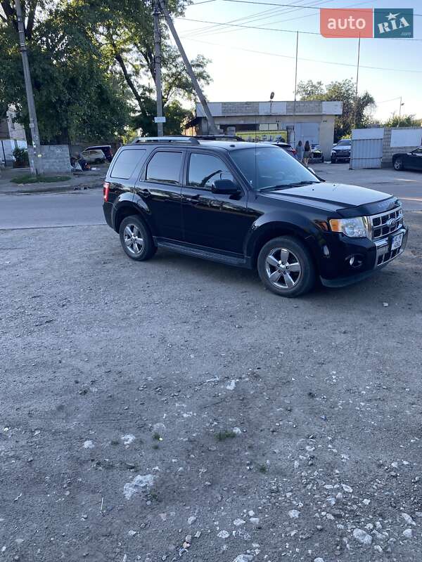 2010 ford escape