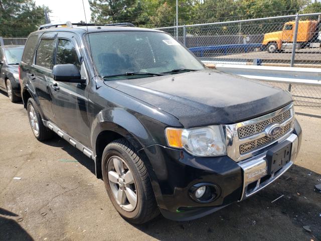 2009 ford escape
