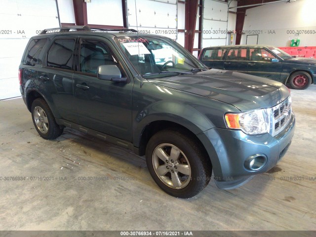 2011 ford escape
