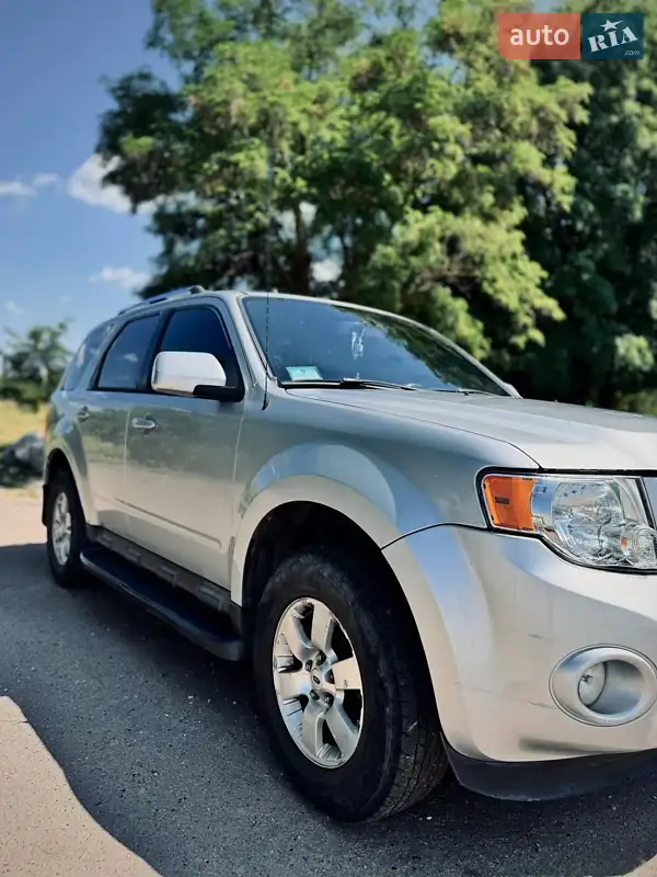 2010 ford escape