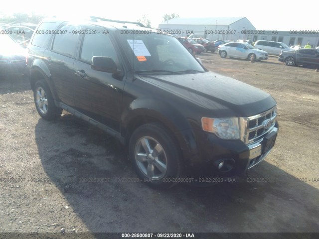 2009 ford escape