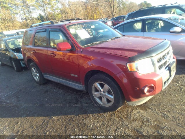 2012 ford escape