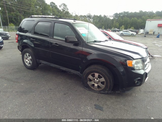 2011 ford escape