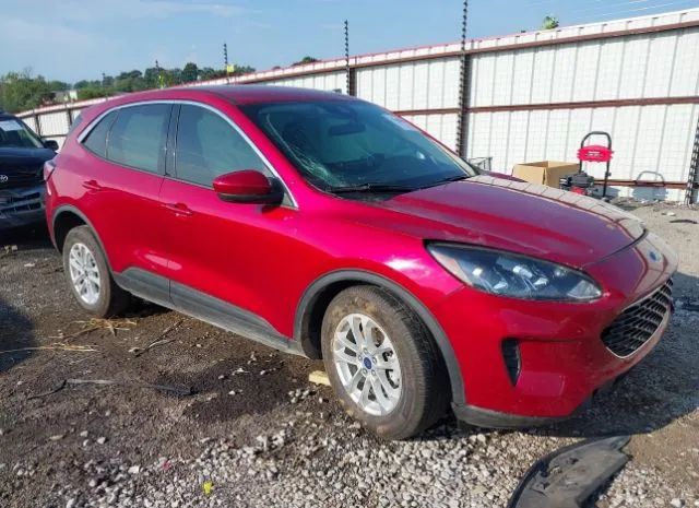 2020 ford escape