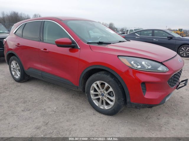 2019 ford escape
