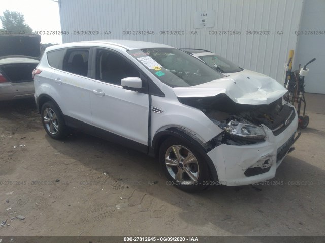 2014 ford escape