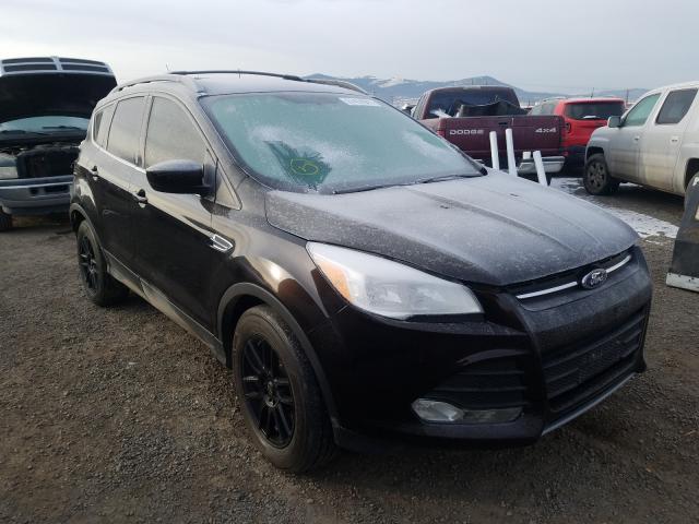 2013 ford escape se