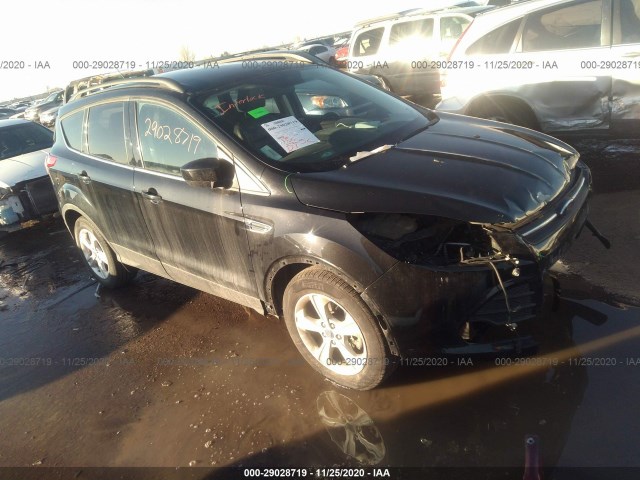 2015 ford escape