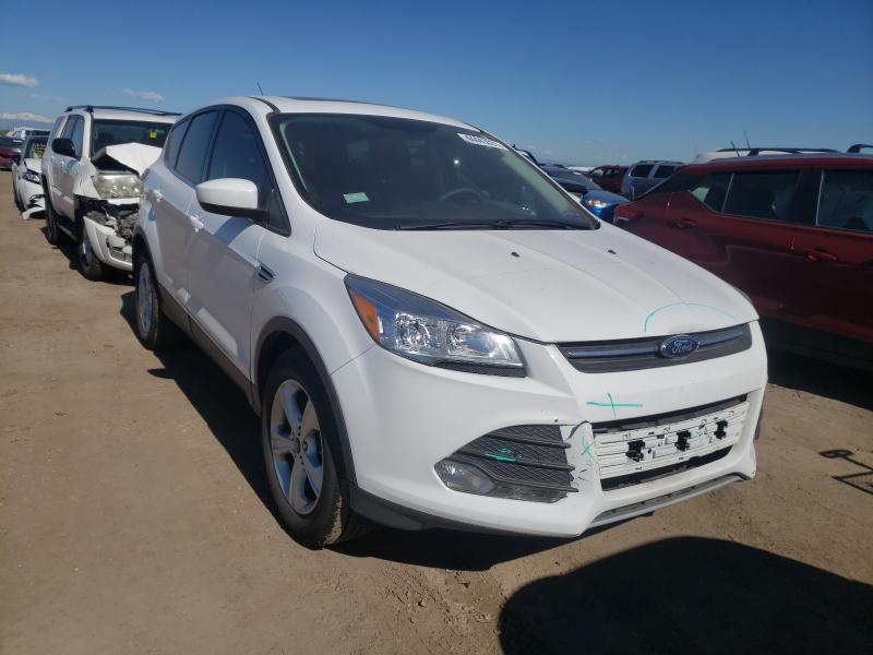 2014 ford escape se