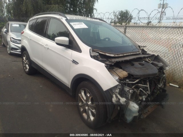2015 ford escape