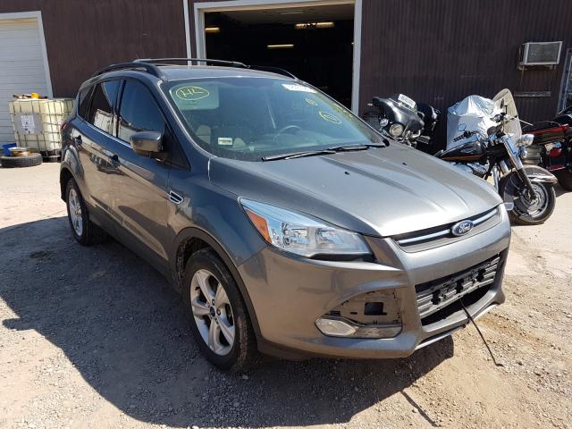 2014 ford escape se