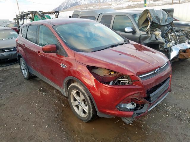 2014 ford escape se