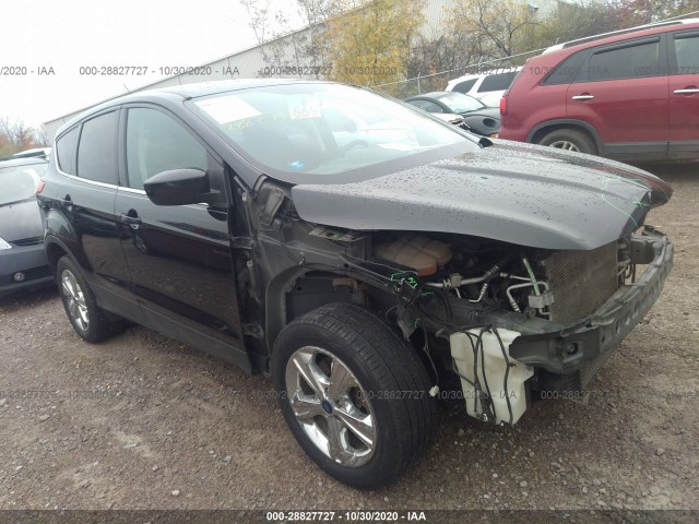 2012 ford escape