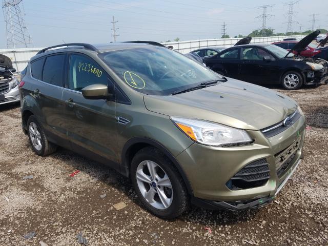 2013 ford escape