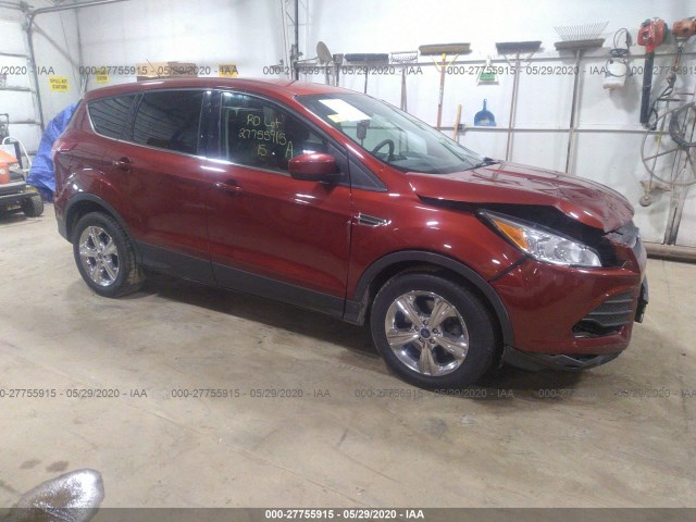 2014 ford escape
