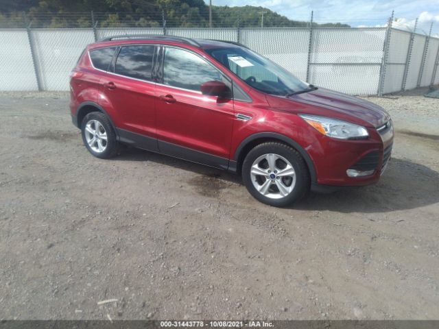 2014 ford escape