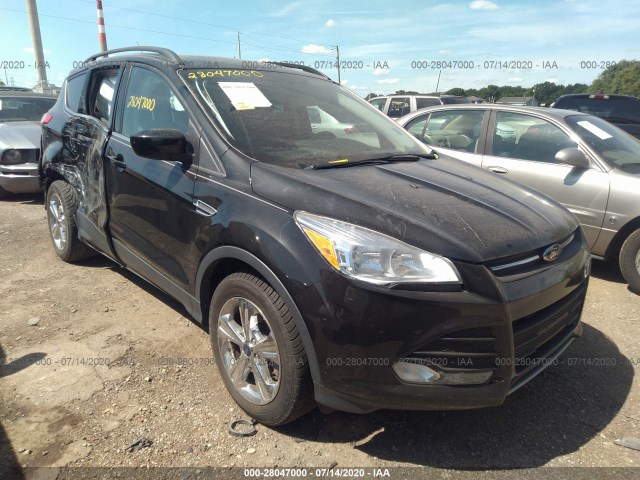 2014 ford escape