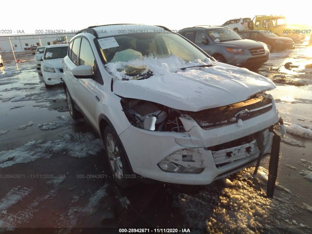 2015 ford escape