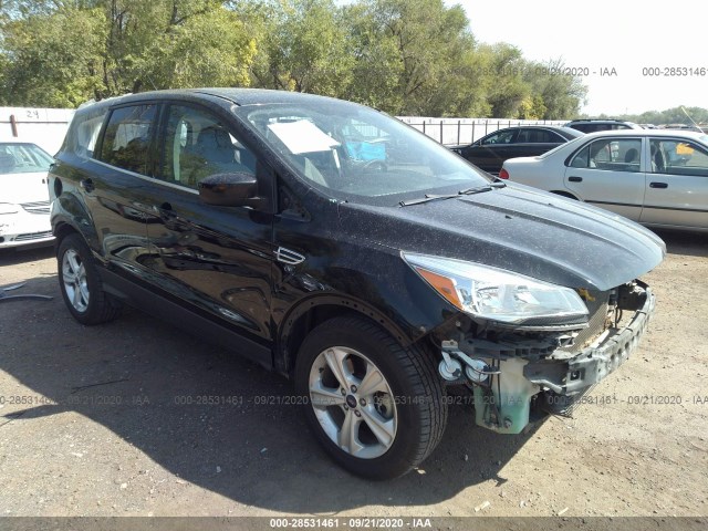 2015 ford escape