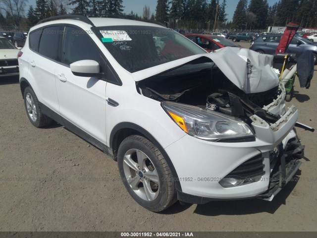 2014 ford escape