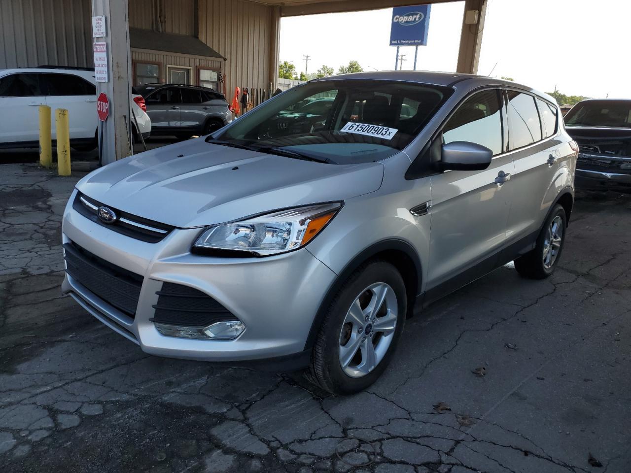 2014 ford escape