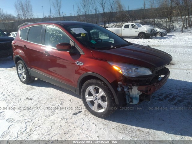 2014 ford escape