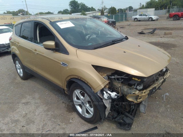2015 ford escape