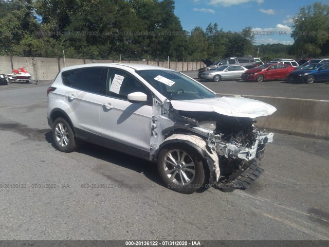 2019 ford escape