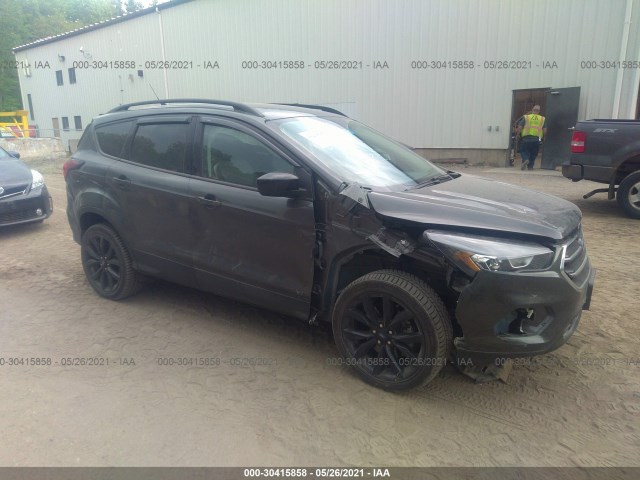 2019 ford escape