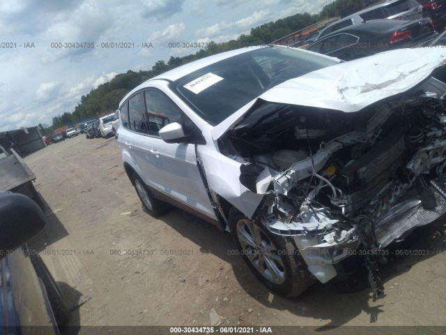 2019 ford escape
