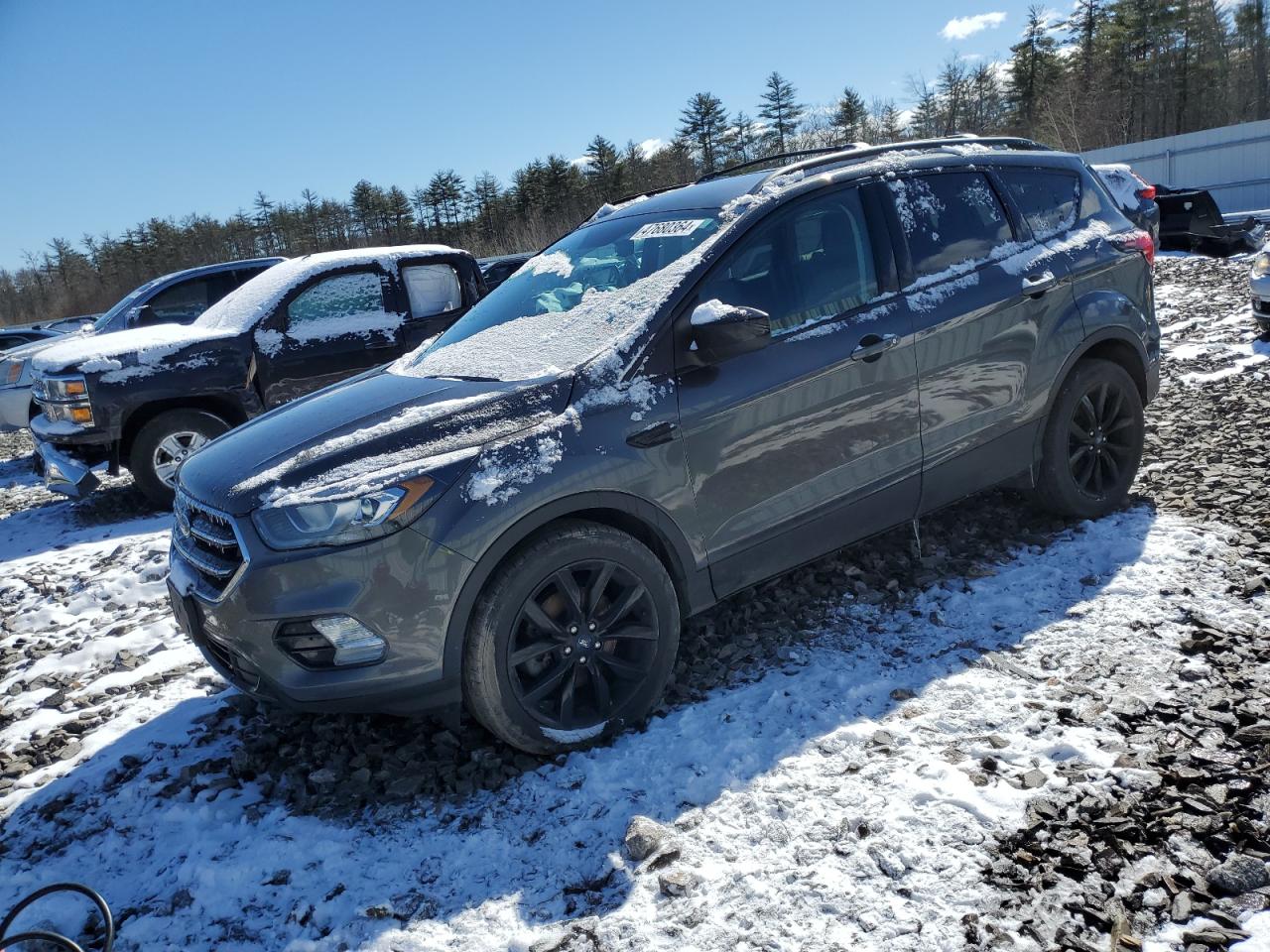 2019 ford escape