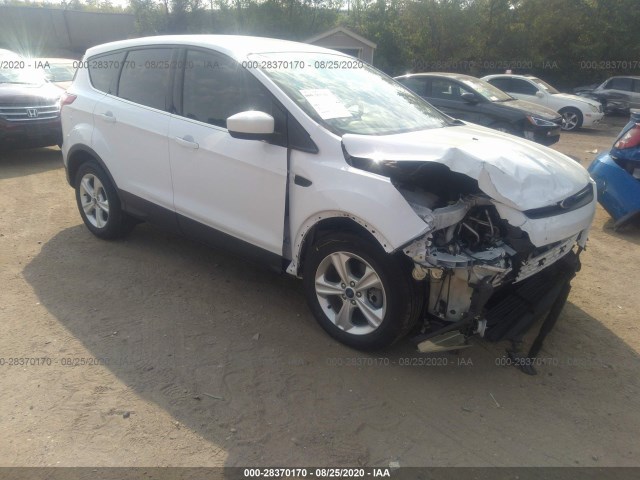 2014 ford escape