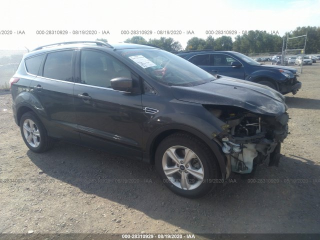 2015 ford escape