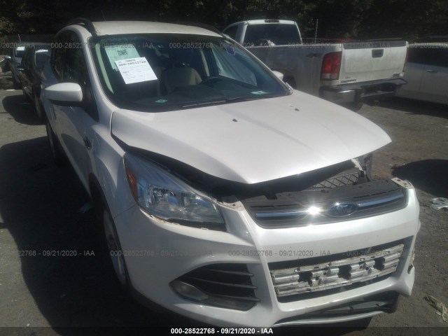 2015 ford escape