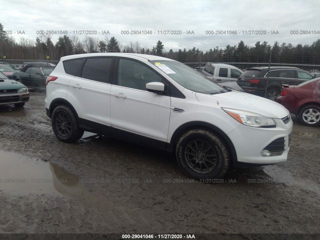 2014 ford escape