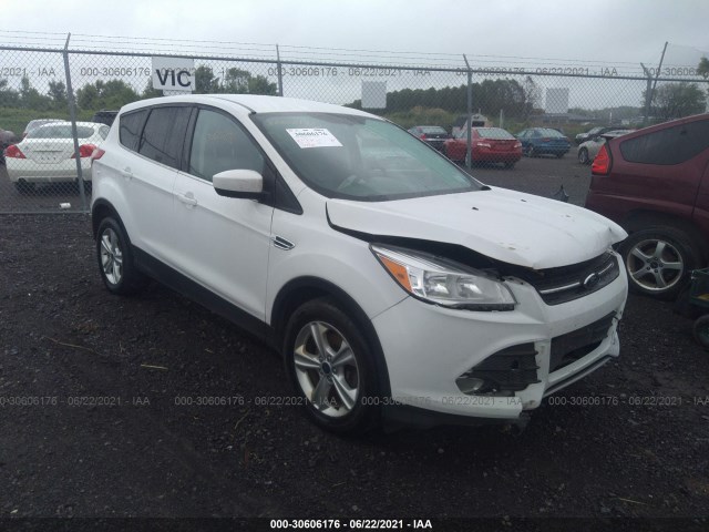 2014 ford escape