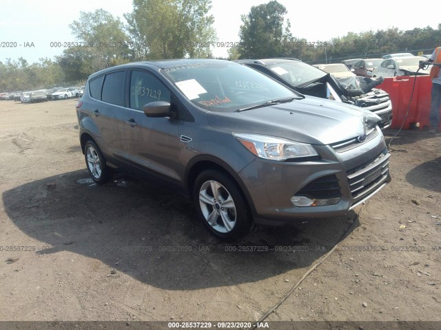 2014 ford escape