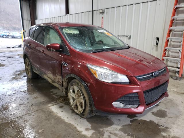 2015 ford escape se
