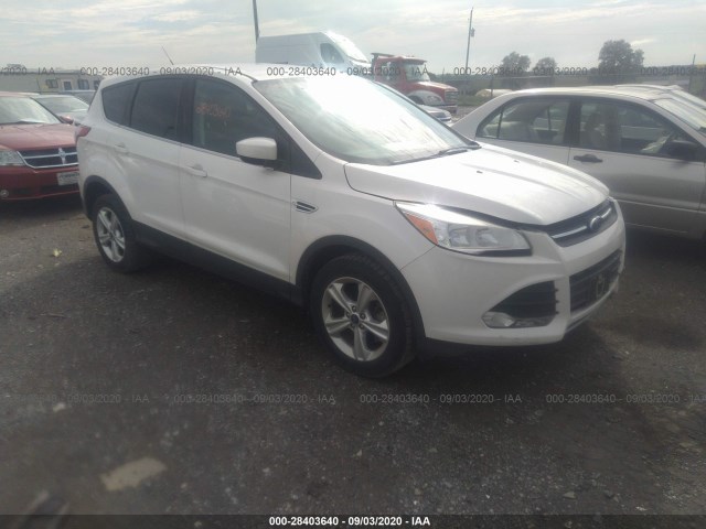 2013 ford escape