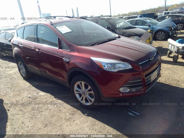 2014 ford escape