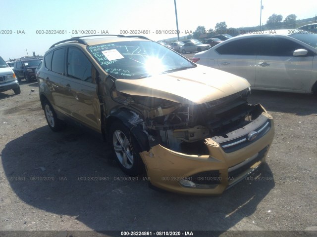 2014 ford escape
