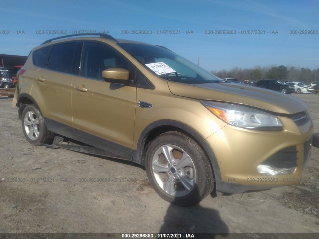 2014 ford escape