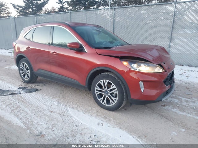 2019 ford escape