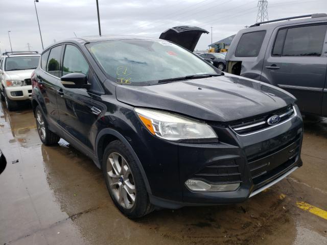 2013 ford escape sel