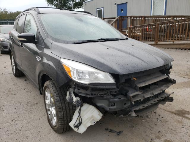 2013 ford escape sel