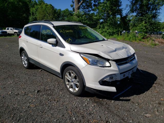 2013 ford escape sel